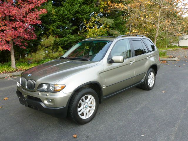 2006 BMW X5 Lightning