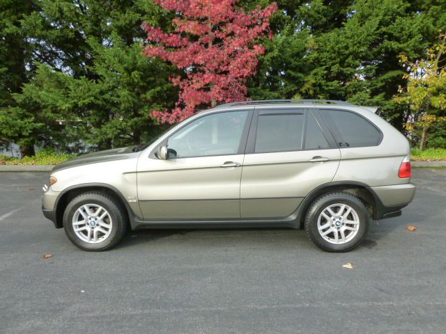 2006 BMW X5 Lightning