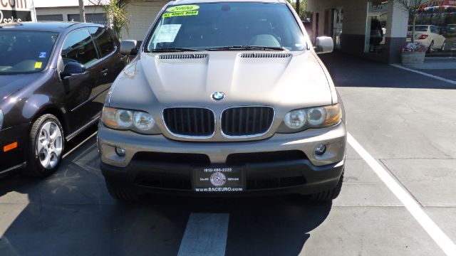 2006 BMW X5 Lightning