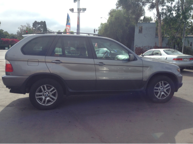 2006 BMW X5 Lightning