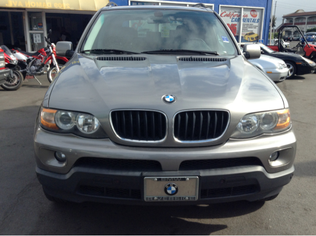 2006 BMW X5 Lightning