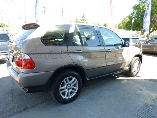 2006 BMW X5 Lightning