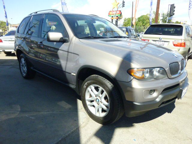 2006 BMW X5 Lightning