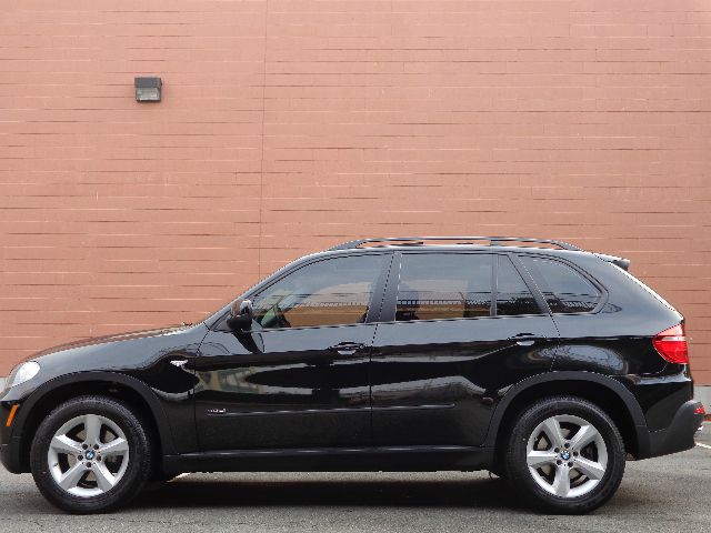 2010 BMW X5 L83