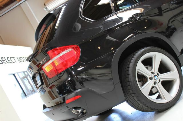 2010 BMW X5 L83