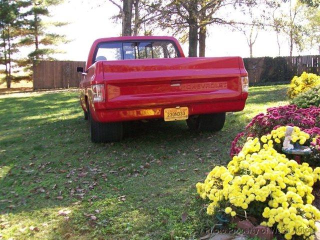 1981 Chevrolet C-10 4WD 4dr Supercab FX4 Off-rd