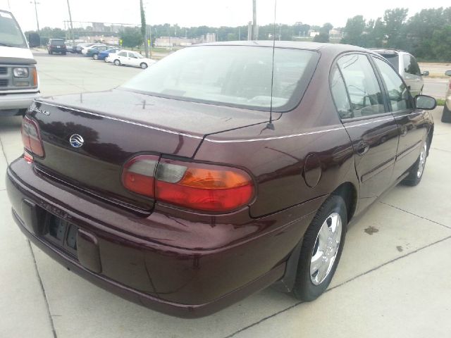 1999 Chevrolet Malibu Gtcobra