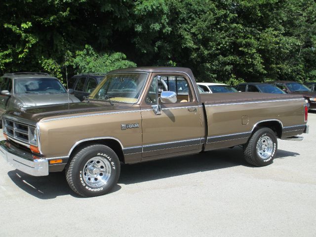 1989 Dodge D150 Pickup 5dr HB (natl) Hatchback