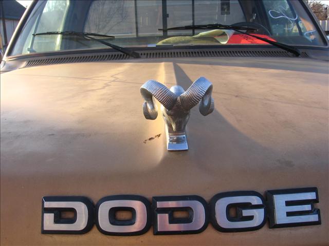 1986 Dodge D250 Pickup Base