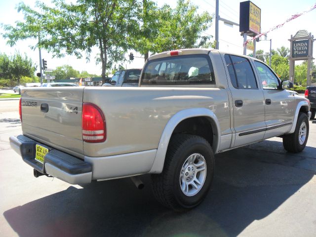 2002 Dodge Dakota Collection Rogue