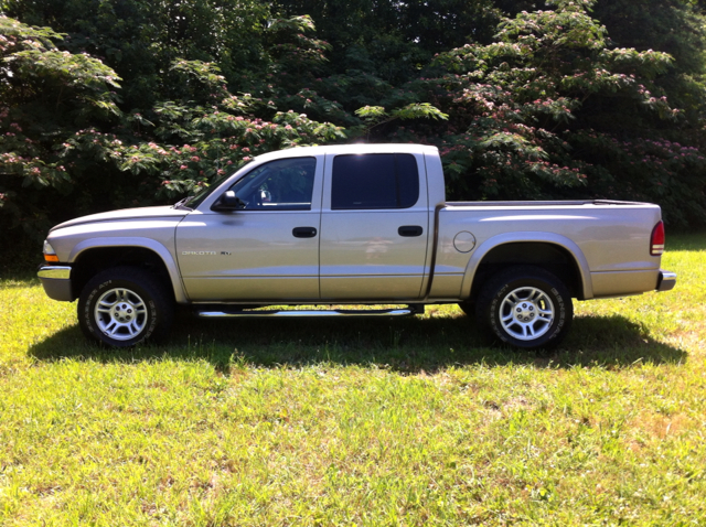 2002 Dodge Dakota Collection Rogue