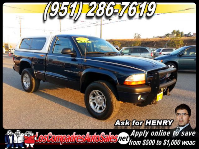 2002 Dodge Dakota Elk Conversion Van