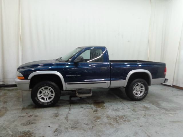 2002 Dodge Dakota Wagon SE