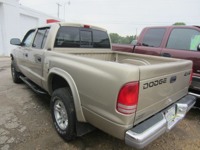 2002 Dodge Dakota Collection Rogue