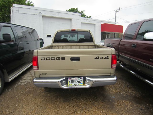 2002 Dodge Dakota Collection Rogue