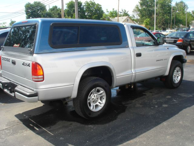 2002 Dodge Dakota Elk Conversion Van