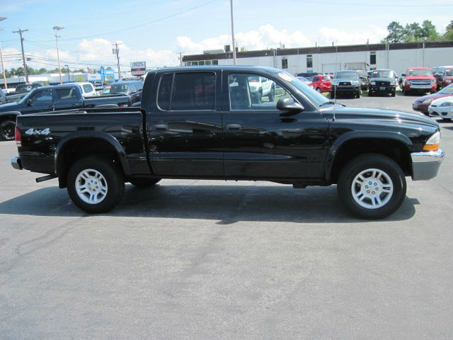 2004 Dodge Dakota Collection Rogue