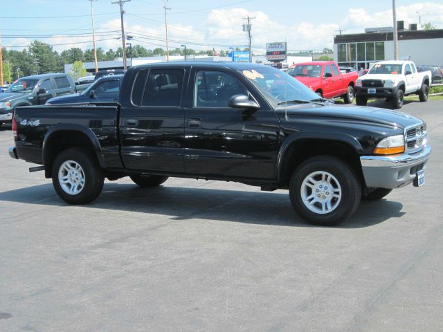 2004 Dodge Dakota Collection Rogue