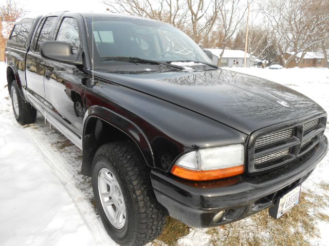 2004 Dodge Dakota Collection Rogue