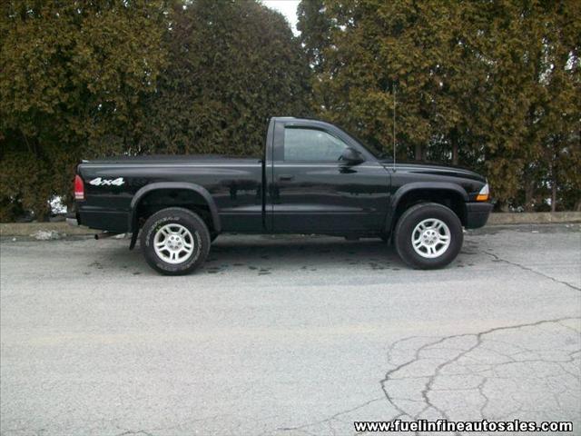 2004 Dodge Dakota Elk Conversion Van