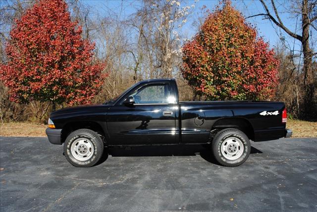 2004 Dodge Dakota Type S