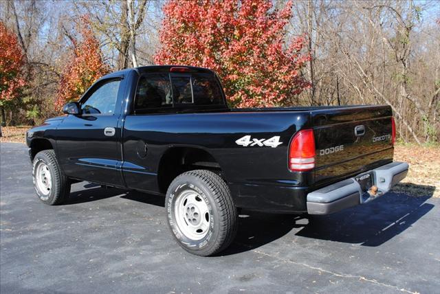 2004 Dodge Dakota Type S