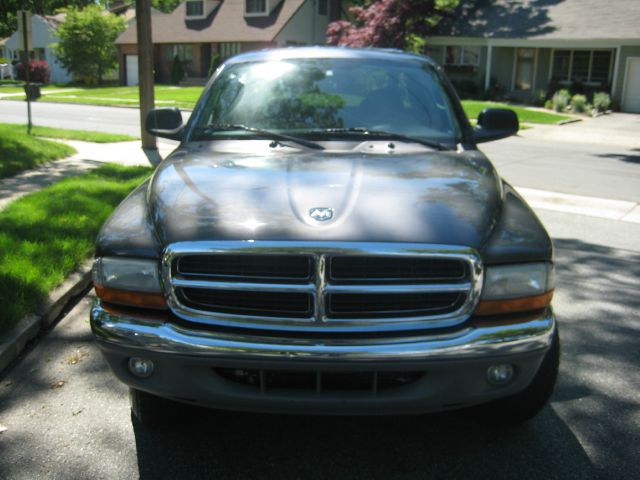 2004 Dodge Dakota Collection Rogue