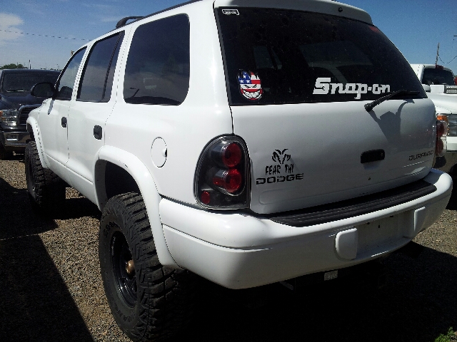 2002 Dodge Durango Elk Conversion Van