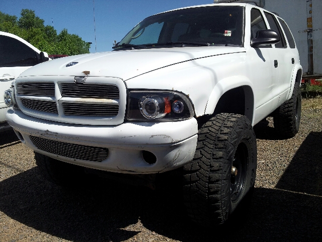 2002 Dodge Durango Elk Conversion Van