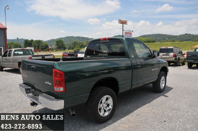 2002 Dodge Ram 1500 Fleetside EXT CAB 4X4