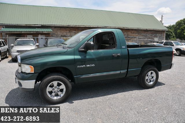 2002 Dodge Ram 1500 Fleetside EXT CAB 4X4