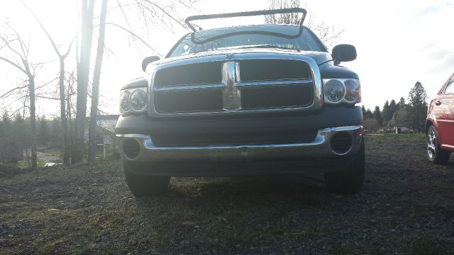 2004 Dodge Ram 1500 Daytona Edition