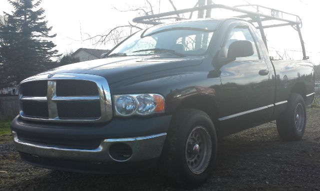 2004 Dodge Ram 1500 Daytona Edition