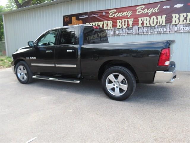 2010 Dodge Ram Pickup 1500 Unknown