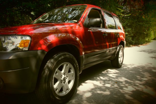 2005 Ford Escape Police Pkg 9C1 Carfax Available ON THE Premises