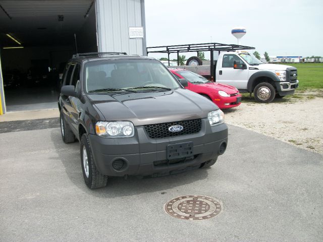 2006 Ford Escape Reg Cab 159.5 WB C5B