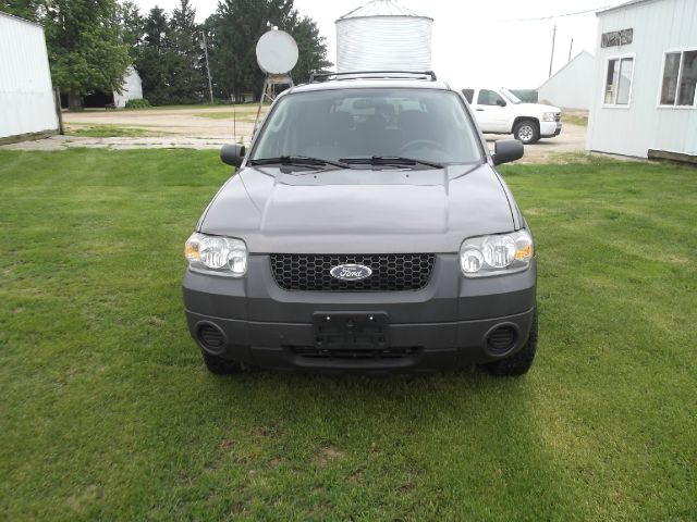 2006 Ford Escape Reg Cab 159.5 WB C5B