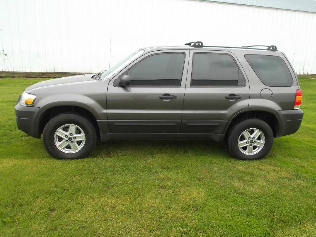 2006 Ford Escape Reg Cab 159.5 WB C5B