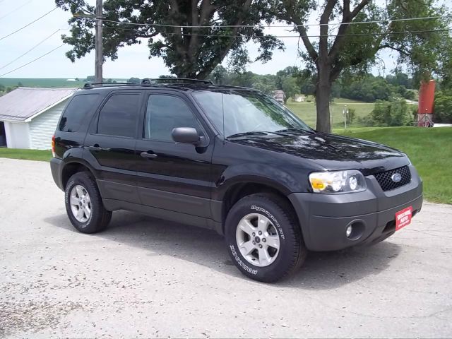 2007 Ford Escape 15