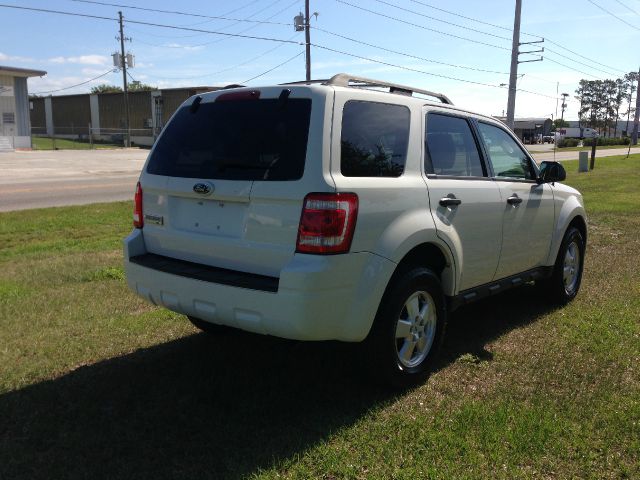 2009 Ford Escape XLT Xcab5.4