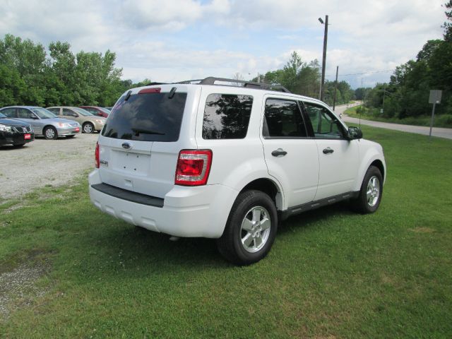 2010 Ford Escape Premium I-4