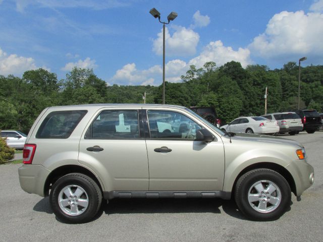 2010 Ford Escape XLS