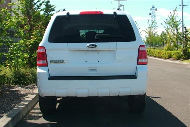 2010 Ford Escape 4WD 5dr EX