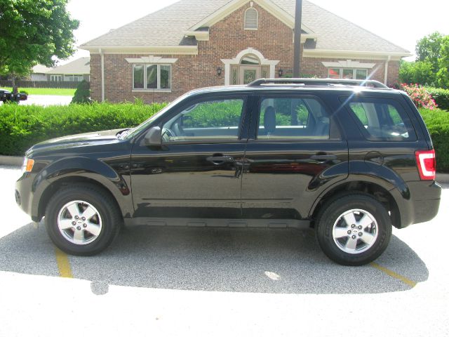 2010 Ford Escape 4DR 4WD BASE AT