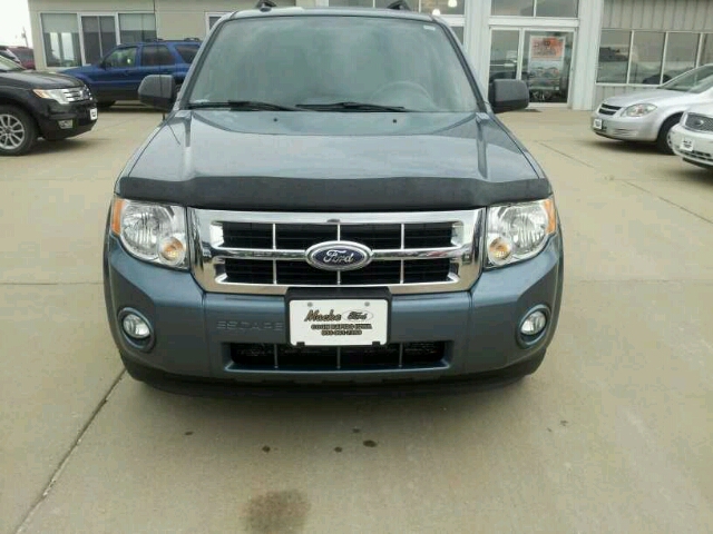 2010 Ford Escape ESi