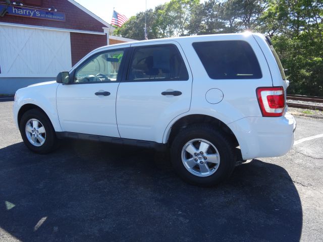 2010 Ford Escape 4DR 4WD BASE AT