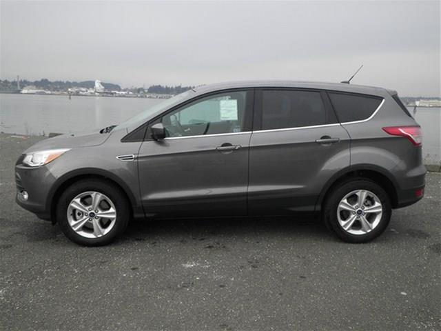 2014 Ford Escape Stawgn