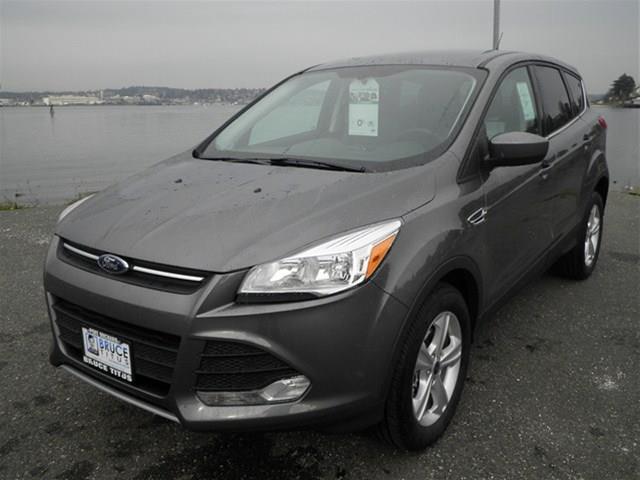 2014 Ford Escape Stawgn