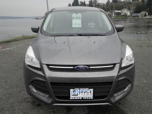 2014 Ford Escape Stawgn