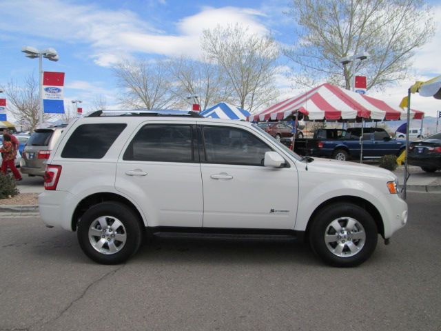 2010 Ford Escape Hybrid ESi